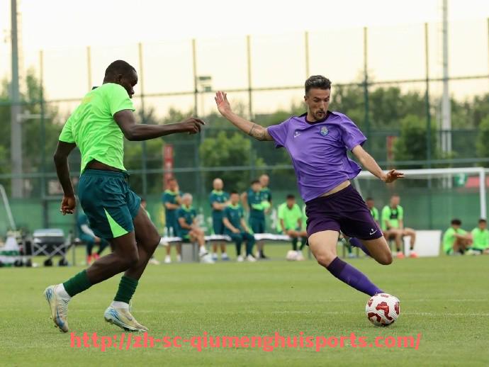 球盟会官网-2025年世俱杯球衣设计创新案例及其行业影响研究